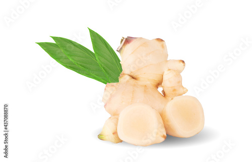 Fresh galangal rhizomes with sliced and green leaf isolated on white background, (Alpinia galanga) photo