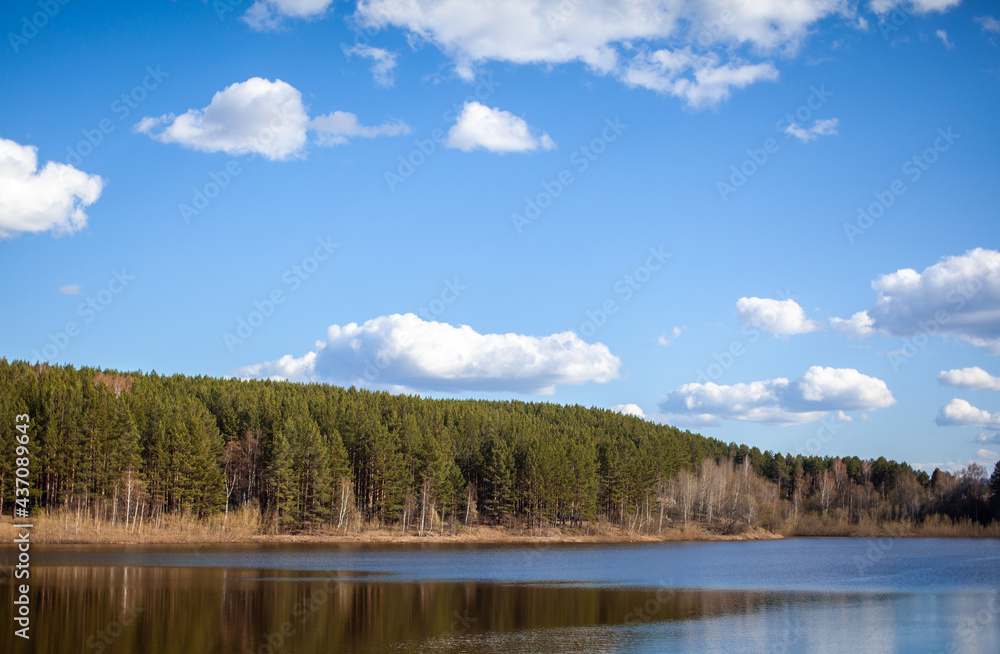 A clear lake in a green forest. Blue sky with white clouds over a lake in the forest. Nature landscape.