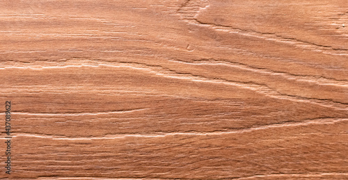 Panorama de fond de bois pour création d'arrière-plan avec rayures horizontales. Effet planche de sapin. 