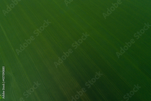 Combine tracks on the green field, bird's-eye view photo