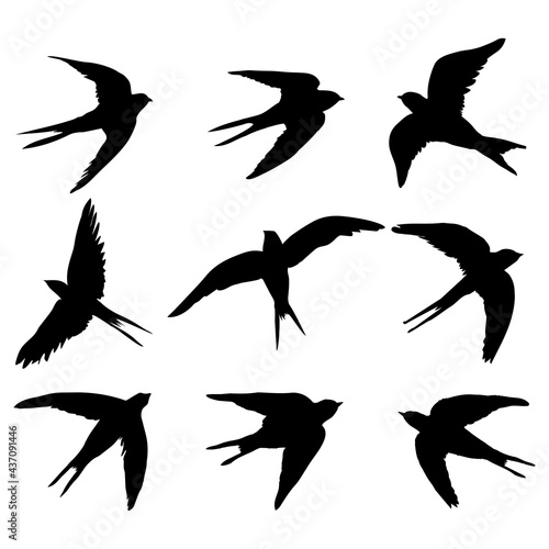 A set of black isolated vector silhouettes of a swallow, a bird on a white background.