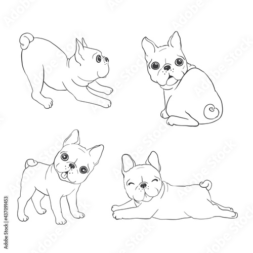 Fototapeta Naklejka Na Ścianę i Meble -  French bulldog background. Dog, illustration, french