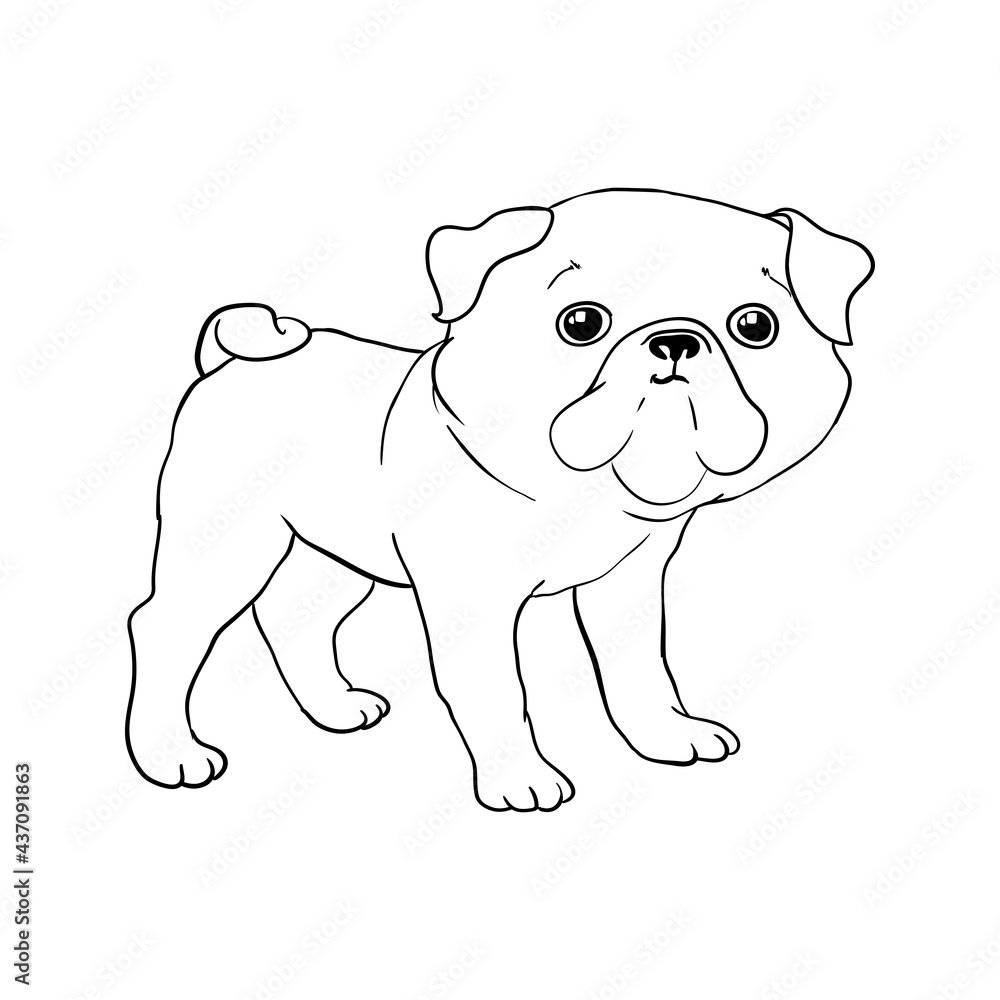Pug vector hand drawing illustration in black color isolated