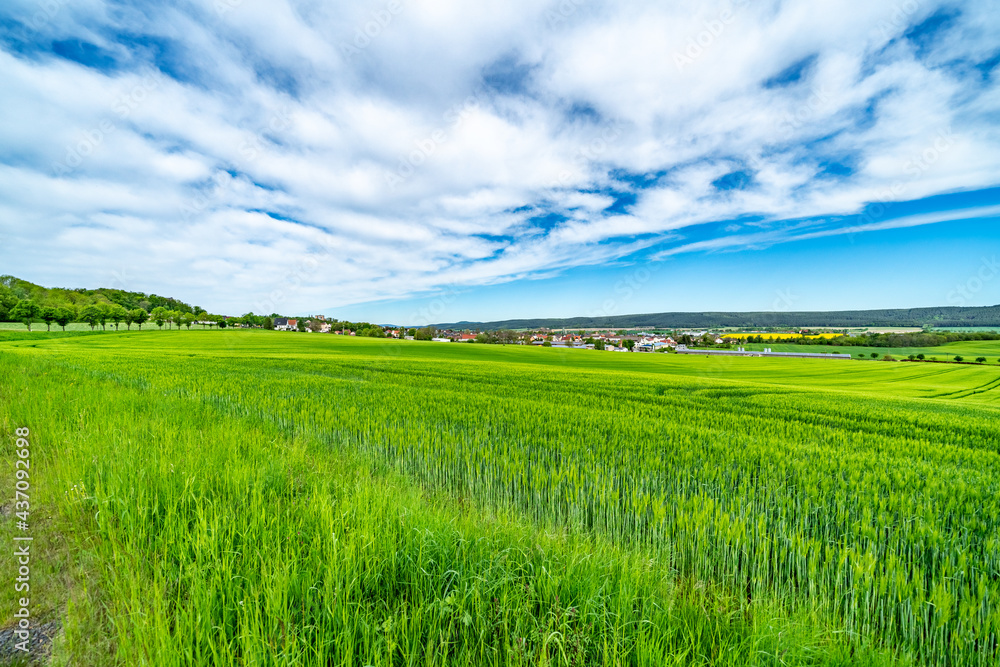 Obraz premium The Thuringian landscape is like a painting that would make even Bob Ross jealous – with more greenery than in a salad buffet