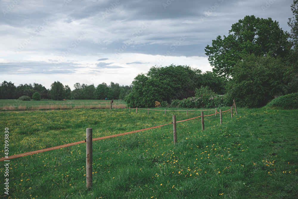 electrical wire fence around a pasture