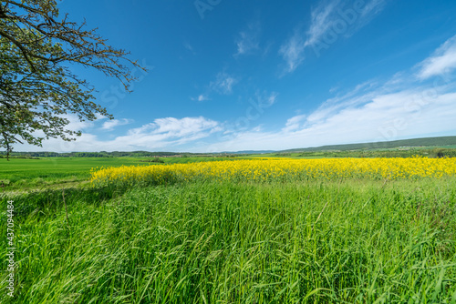 green field and blue sky in Thuringia