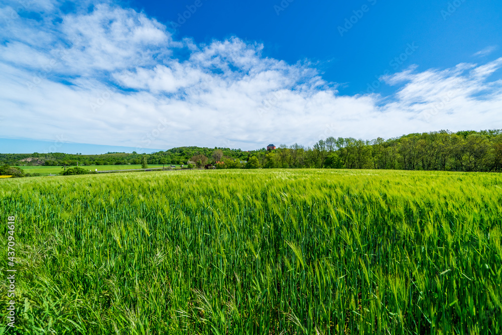 The Thuringian landscape is like a painting that would make even Bob Ross jealous – with more greenery than in a salad buffet The Thuringian landscape is like a painting that would make even Bob Ross jealous – with more greenery than in a salad buffet