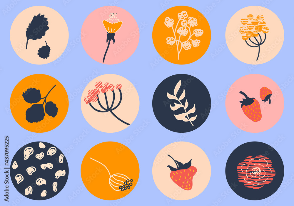 Vector rounds for social media stories for bloggers. Set of templates for networks Story Highlights Covers Icons. Abstract berries, strawberry, branches and flowers..