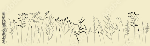 Field and meadow grasses, black contour line. Sketch of medicinal plants, vector drawing.