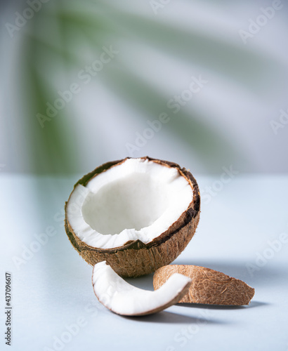 fresh coconut and slices with palm branch on blue background. Healthy and vegan food. Macro and close up