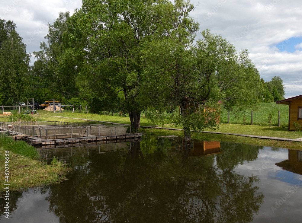 Fishing farm for carp breeding. Fishing farm for carp breeding.