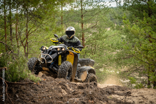Fototapeta Naklejka Na Ścianę i Meble -  Professional quad biker rides in forest. Quad racing, ATV 4x4