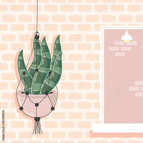macrame hanger in wall