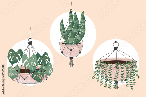 three macrame hangers