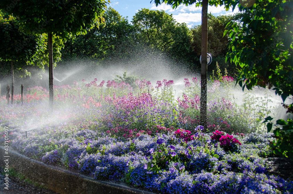 Spring time image of colorful flowers and deep green trees being watered in a park, with blue sky and sunshine Spring time image of colorful flowers and deep green trees being watered in a park, with blue sky and sunshine