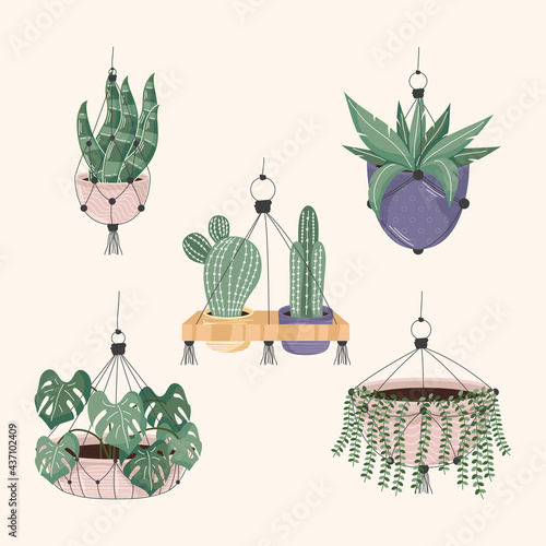 five macrame hangers