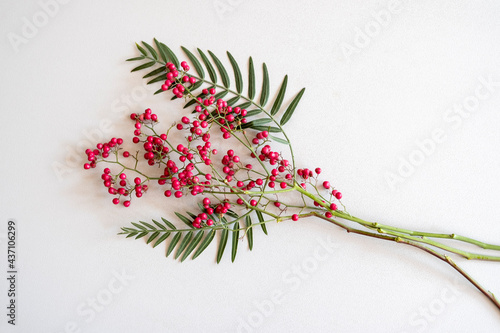 Pink peppercorn (baie rose, pink berry).