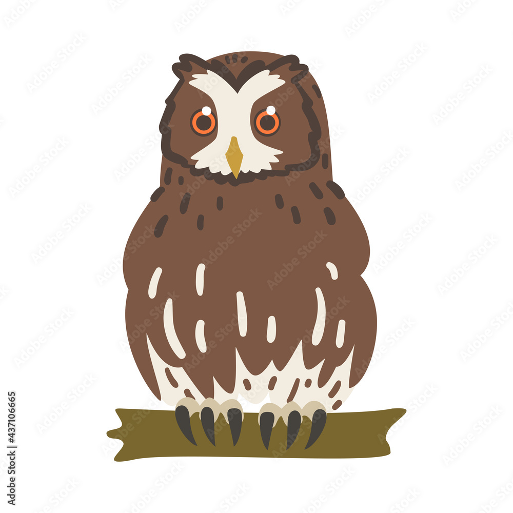 Fototapeta premium Owl Specie as Nocturnal Bird of Prey with Hawk-like Beak and Forward-facing Eyes Perching on Tree Branch Vector Illustration