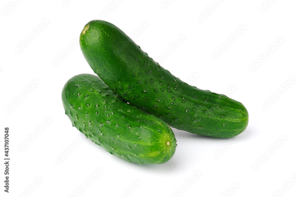 cucumber isolated on white background. fresh green vegetables cucumber isolated on white background. fresh green vegetables