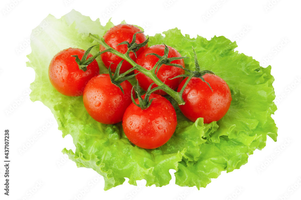 Ripe red cherry tomatoes bunch on green lettuce leaf isolated on white background. Fresh vegetables ingredients. Ripe red cherry tomatoes bunch on green lettuce leaf isolated on white background. Fresh vegetables ingredients.