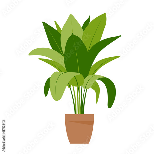 Home plant. Potted plant isolated on white. Flat. Vector illustration.