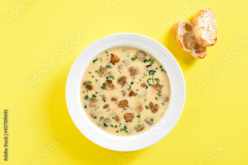 Creamy mushroom soup © voltan