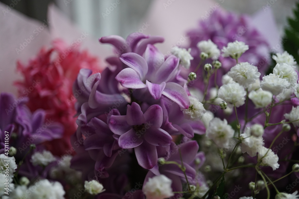 Purple hyacinth with white little flowers Purple hyacinth with white little flowers