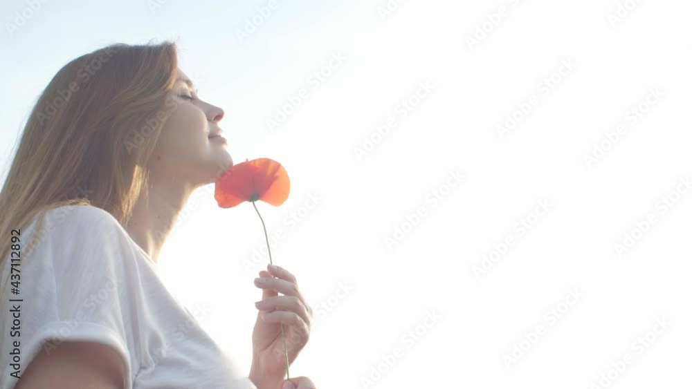 Pretty woman twists in hand red poppy and sniffs flower, girl relaxing on nature raised face to sun rays and looking at sky, lifestyle concept Pretty woman twists in hand red poppy and sniffs flower, girl relaxing on nature raised face to sun rays and looking at sky, lifestyle concept