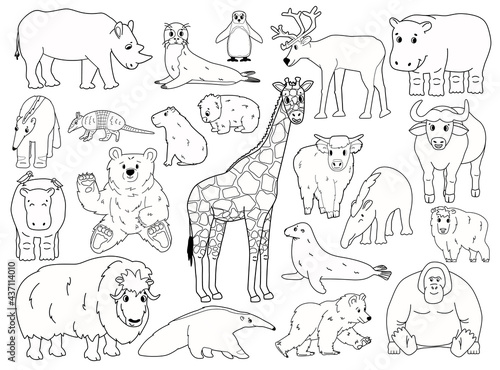 Set of doodle animals. Vector outline cartoon isolated graphic hand drawn illustration. Giraffe bear orangutan ox rhino wombat highland cow seal tapir anteater yak hippo capybara penguin armadillo