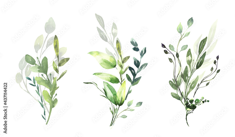 Watercolor floral illustration set - green eucalyptus leaf branches collection, for wedding invitation, greetings cards, wallpapers, background. Eucalyptus, green leaves. High quality illustration