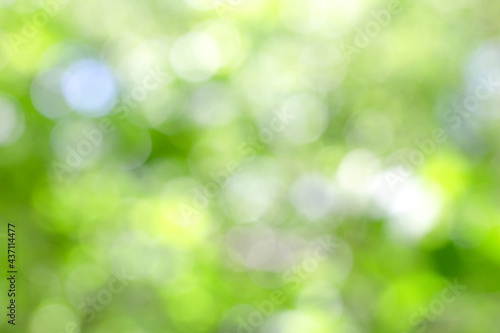 abstract blurred green background. design concepts