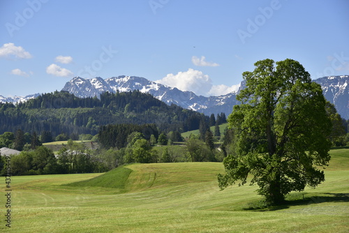 Ostallgäu mit Schwaltenweiher im Sommer photo