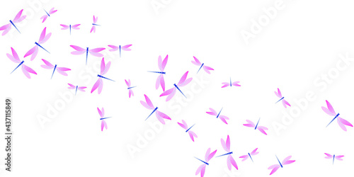 Magic rosy pink dragonfly isolated vector illustration. Summer colorful insects. Simple dragonfly isolated girly wallpaper. Delicate wings damselflies graphic design. Fragile creatures