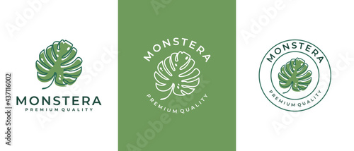 monstera leaf logo template for spa, salon, skin & hair care