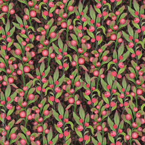 Red berries on a branch with green leaves.