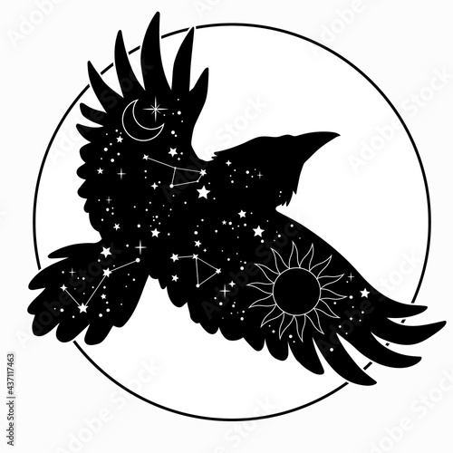 black silhouette of a flying bird with stars and space on the wings