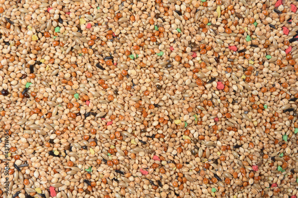 texture of bird food, tropical bird grain mix texture of bird food, tropical bird grain mix