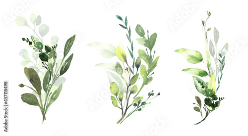 Watercolor floral illustration set - green eucalyptus leaf branches collection  for wedding invitation  greetings cards  wallpapers  background. Eucalyptus  green leaves. High quality illustration