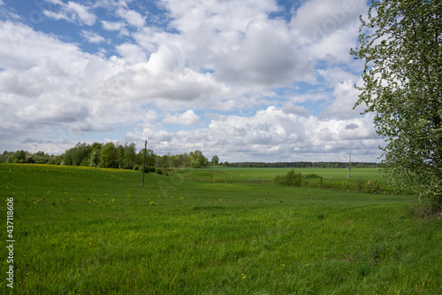 a large green meadow with beautiful fluffy moons and blue skies