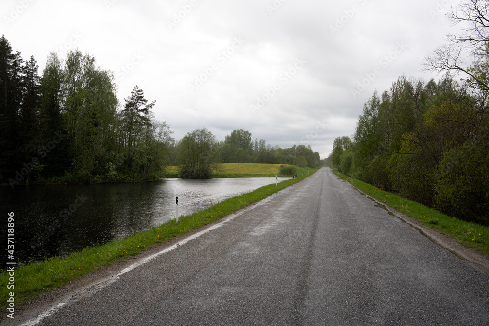 Fototapeta premium wet rainy road where trees grow along the edges and there is a pond