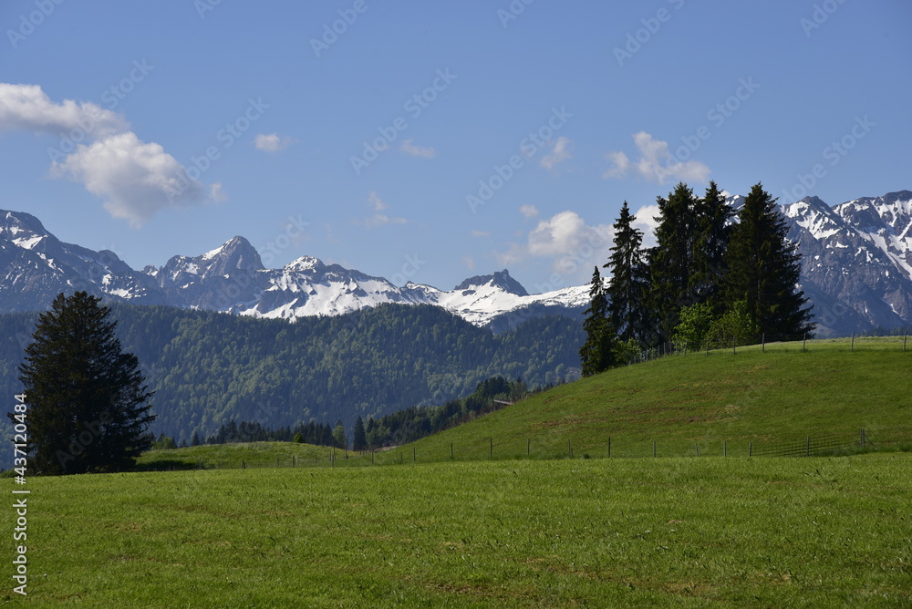 Allgäu bei Eisenberg mit Wiesen, Bäumen, Bergen, Sonnenstern und blauem Himmel im Sommer