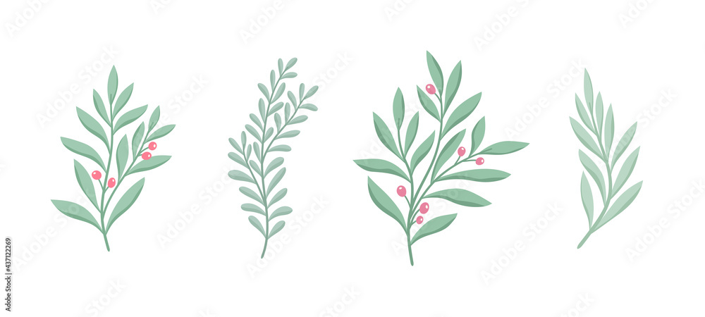 Fototapeta Set of vector floral elements. Hand drawn leaves isolated. Botanical illustration for decoration, print design.