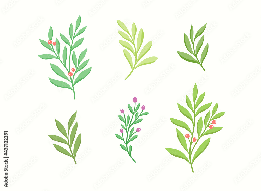 Fototapeta premium Set of vector floral elements. Hand drawn leaves isolated. Botanical illustration for decoration, print design.