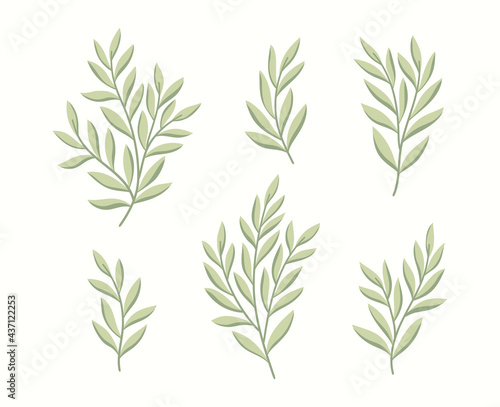 Set of vector floral elements. Hand drawn leaves isolated. Botanical illustration for decoration, print design.