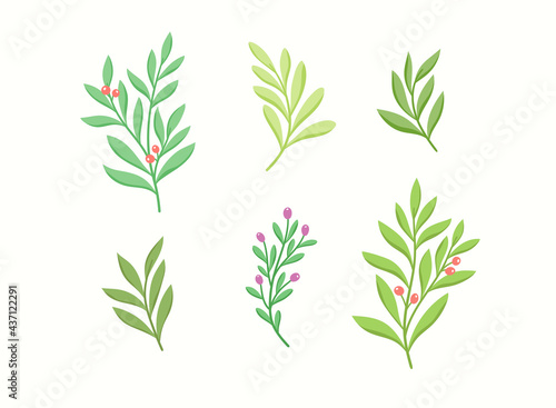 Set of vector floral elements. Hand drawn leaves isolated. Botanical illustration for decoration  print design.