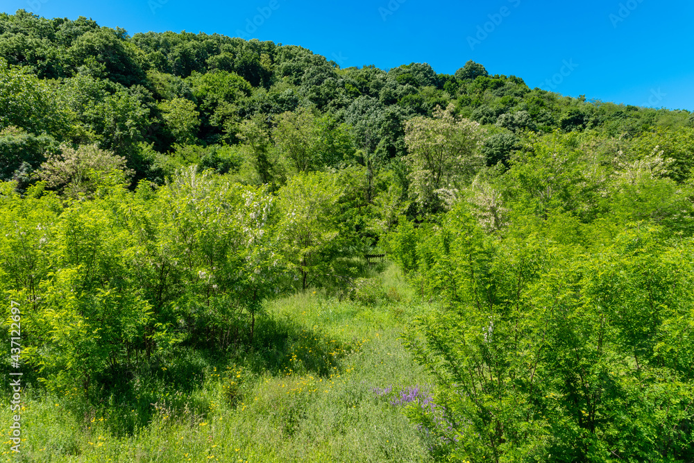 Mount Fruska Gora. Beautiful arable land in Vojvodina, orchards and fertile agricultural soil near the Fruska Gora, Serbia Mount Fruska Gora. Beautiful arable land in Vojvodina, orchards and fertile agricultural soil near the Fruska Gora, Serbia
