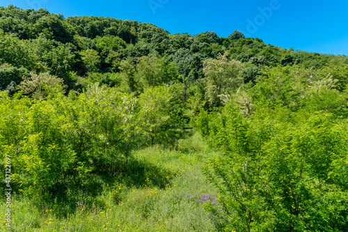 Mount Fruska Gora. Beautiful arable land in Vojvodina, orchards and fertile agricultural soil near the Fruska Gora, Serbia © nedomacki