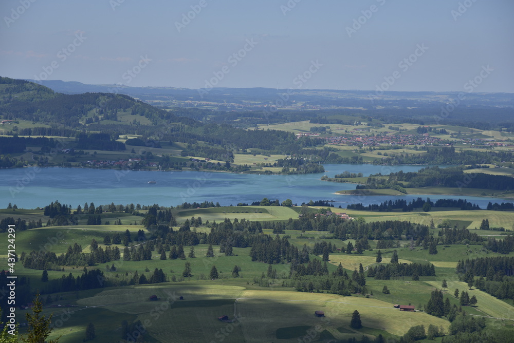Forggensee im Allgäu mit Bergen im Sommer