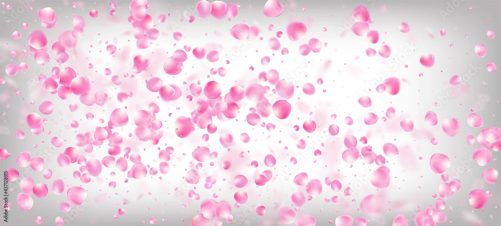 Rose Petals Falling Confetti. Beautiful Premium Magic Pattern. Rose Petals Falling Confetti. Beautiful Premium Magic Pattern.