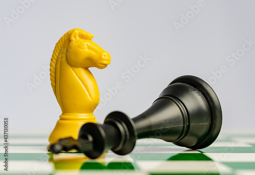 chessboard pieces